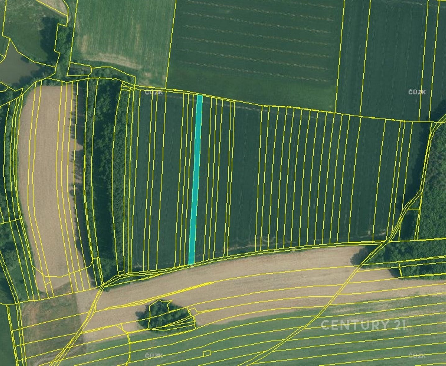 Zemědělské pozemky, Olešník