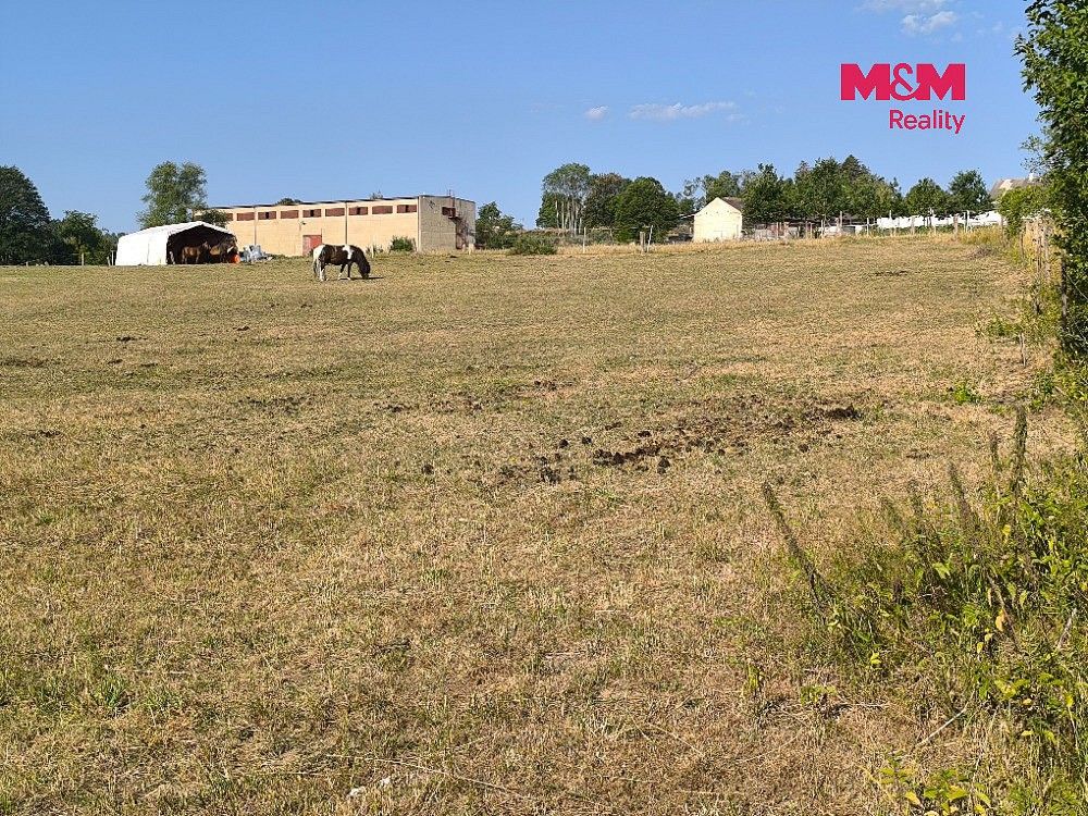 Prodej louka - Hoslovice, okres Strakonice, Jihočeský kraj - 5