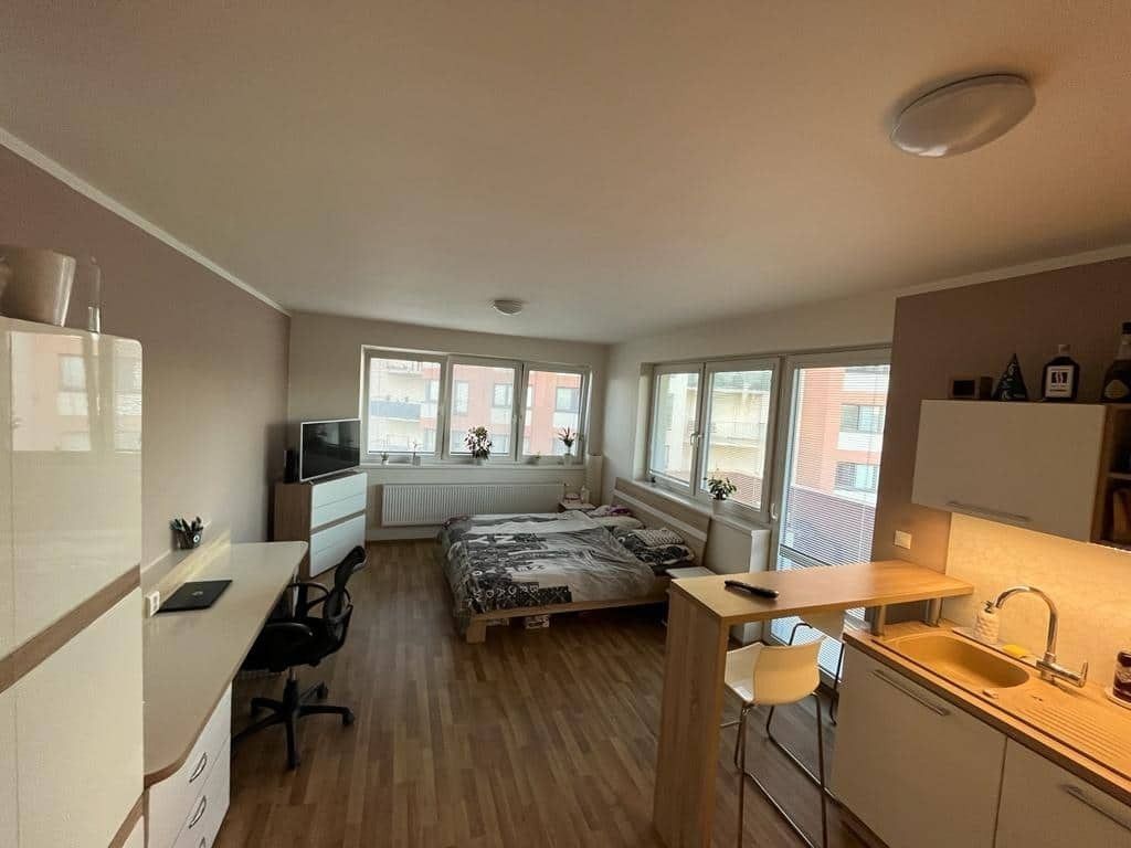 1+kk, Aloise Rašína, Olomouc - Řepčín, Olomoucký kraj, 31 m² - 1