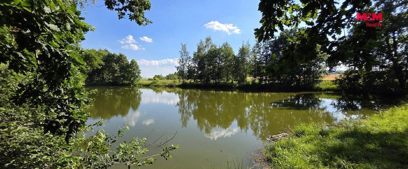 Rybník · Slezské Rudoltice - Amalín, okres Bruntál, Moravskoslezský kraj - 4