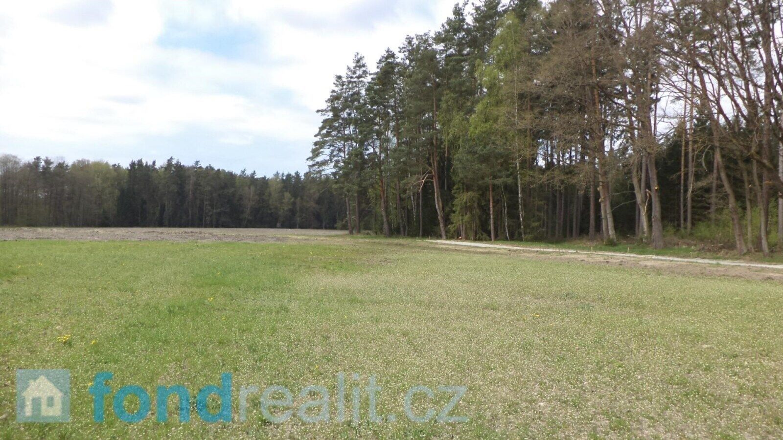 Pozemek · 6 528 m² · Stráž nad Nežárkou - 4