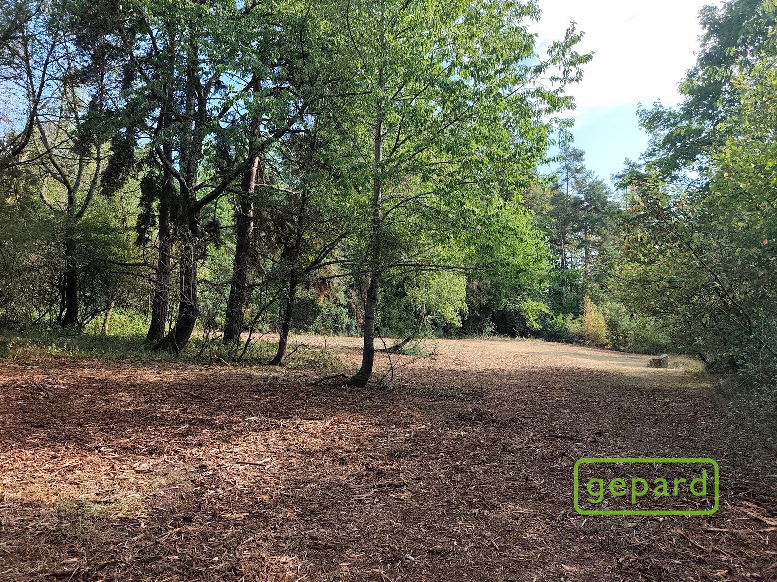 Pozemek pro bydlení · 14 307 m² · Světlík - 3