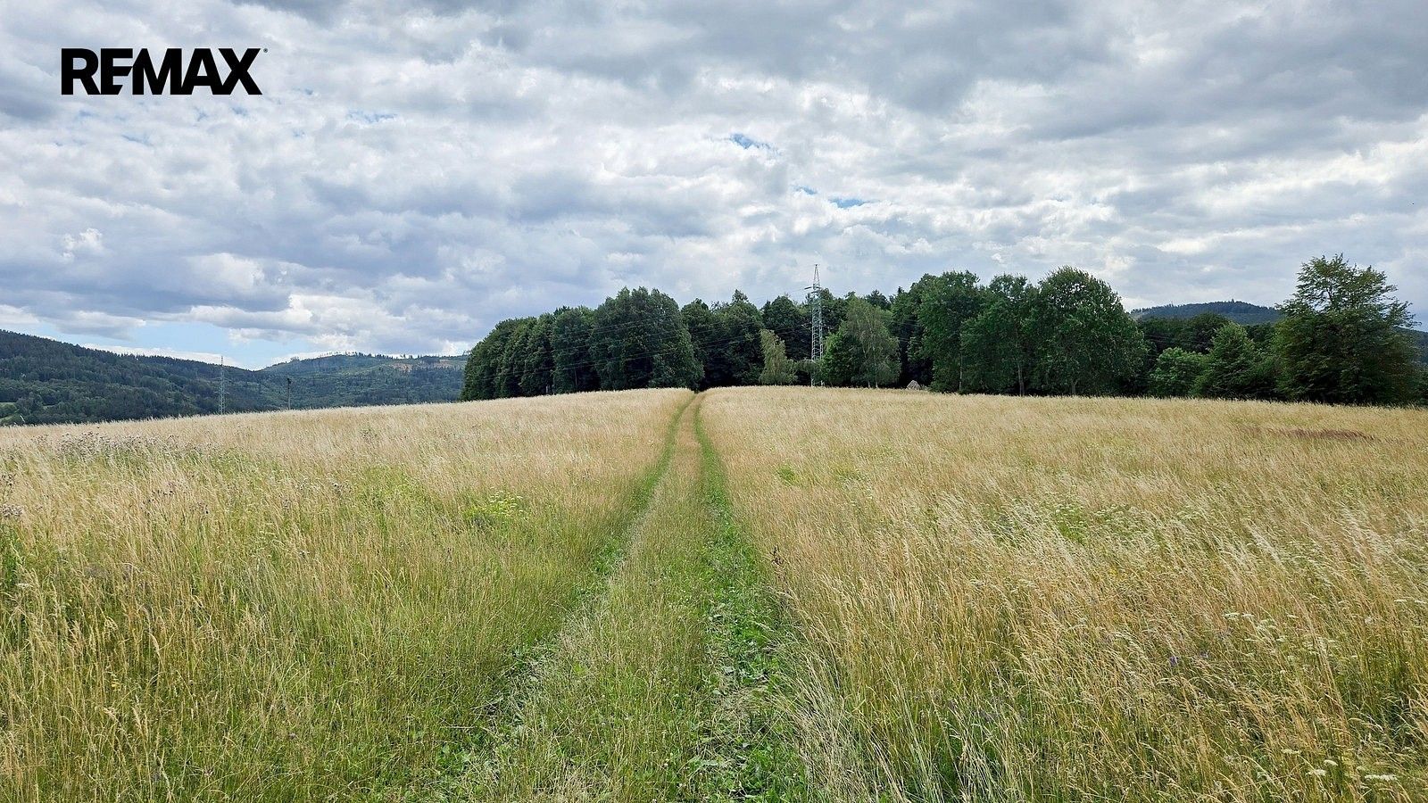 Les · Písečná, okres Jeseník, Olomoucký kraj - 2