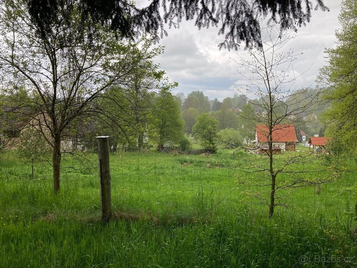 Pozemek pro bydlení · Nová Včelnice, 378 42 - 4