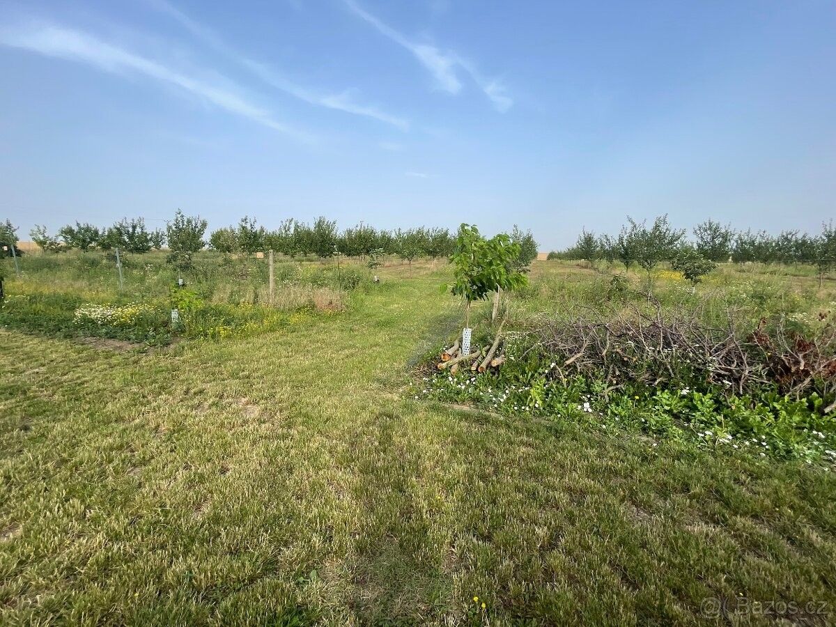 Pozemky pro bydlení, Hustopeče u Brna, 693 01 - 2