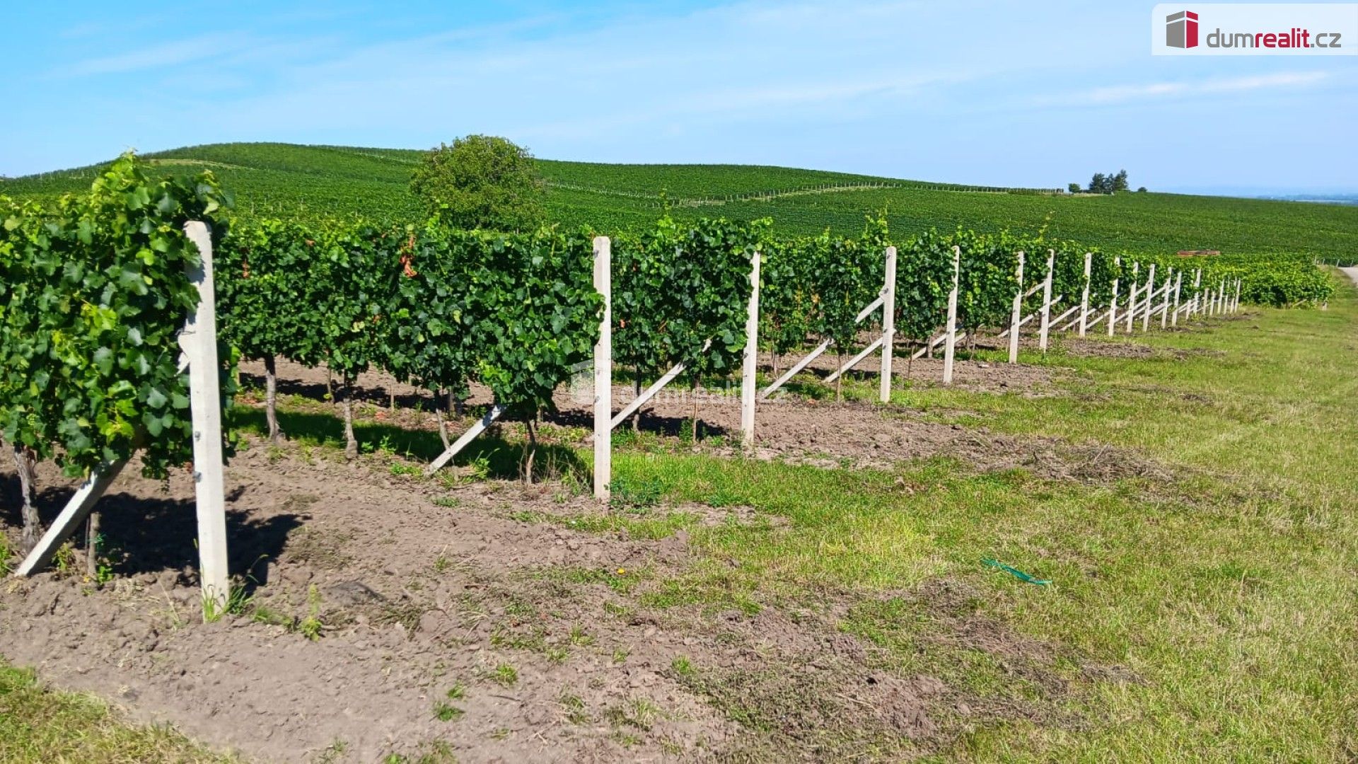 Prodej zemědělský pozemek - Dolní Dunajovice, 20 996 m²