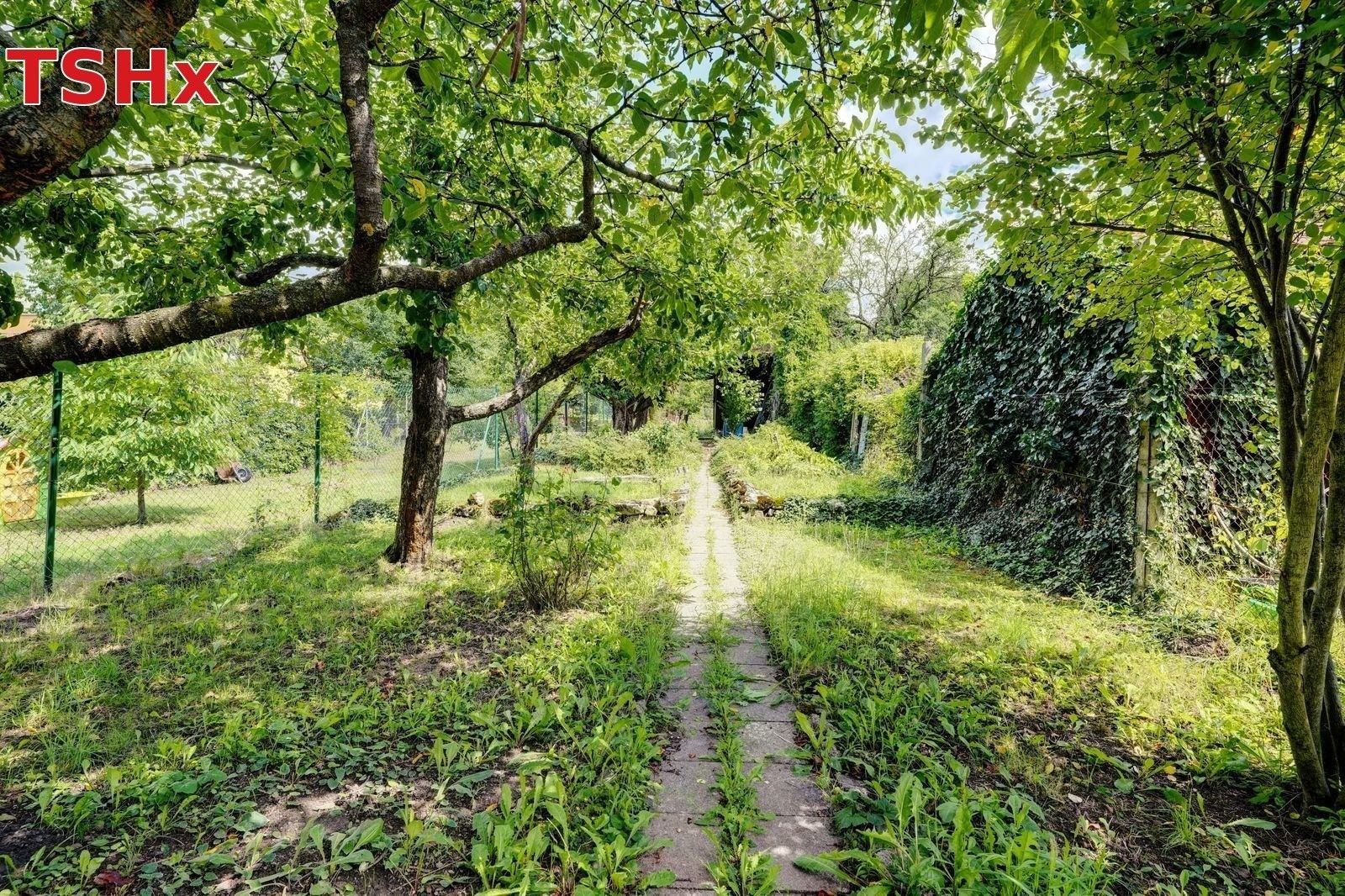Pronájem byt 1+kk - Viniční, Brno - Židenice, Jihomoravský kraj, 29 m² - 5