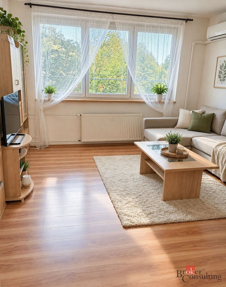 Byt 1+1 · 28 m² · Plzeňská, Ostrava - Hrabůvka - 3