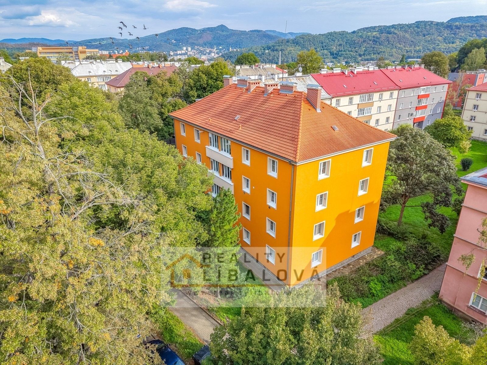 1+1, Resslova, Ústí nad Labem, 50 m² - 2
