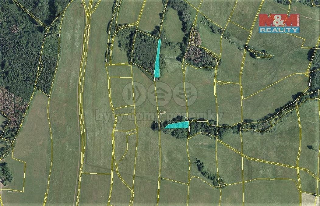 Prodej les - Velká Bukovina, okres Děčín, Ústecký kraj - 5