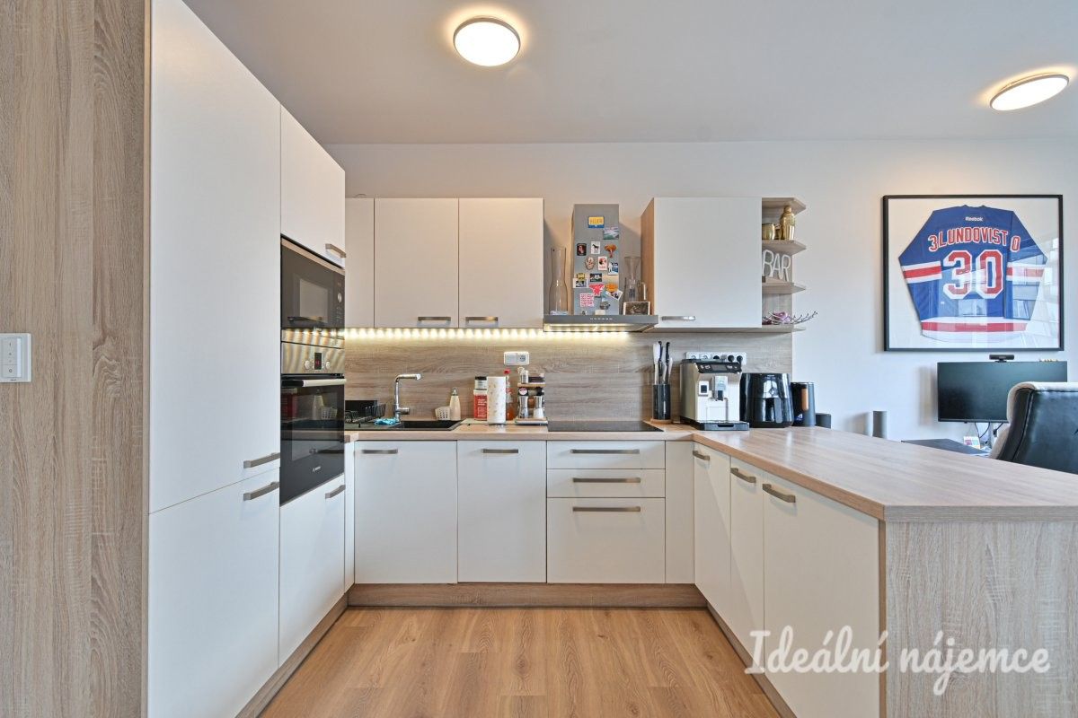2+kk, U Červeného mlýna, Brno, 59 m² - 1