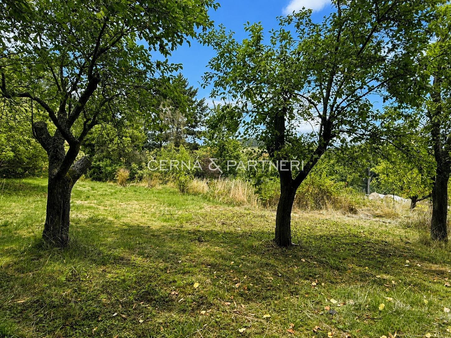 Prodej chata - Chuderov Radešín, 400 m² - 2