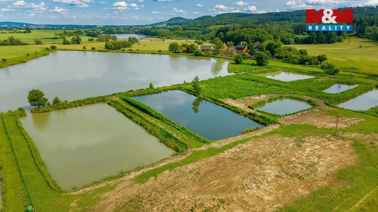 Prodej rybník - Ostružno, okres Jičín - 5