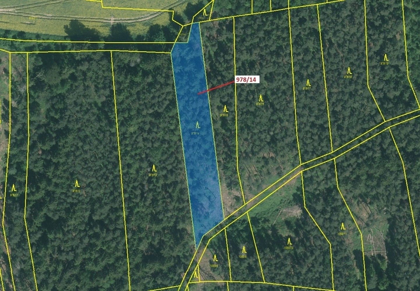 Les · Zahořany, okres Domažlice, Plzeňský kraj - 2