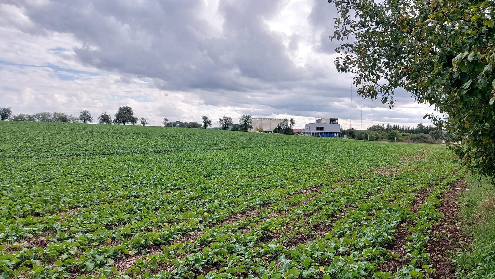 Komerční pozemky, Český Brod, okres Kolín, Středočeský kraj - 1
