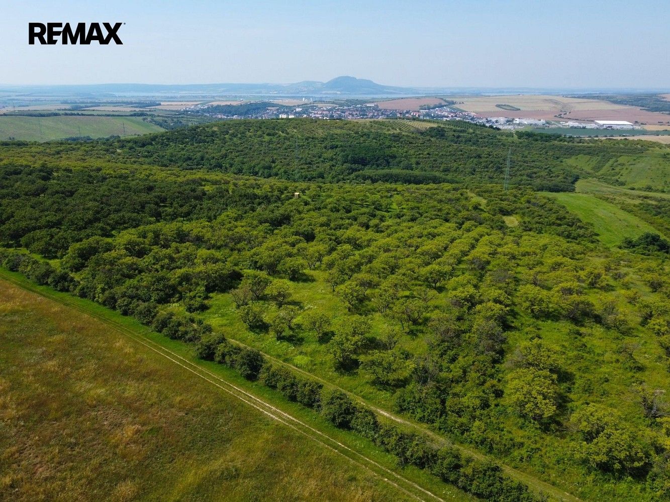 Ostatní, Hustopeče, okres Břeclav - 1