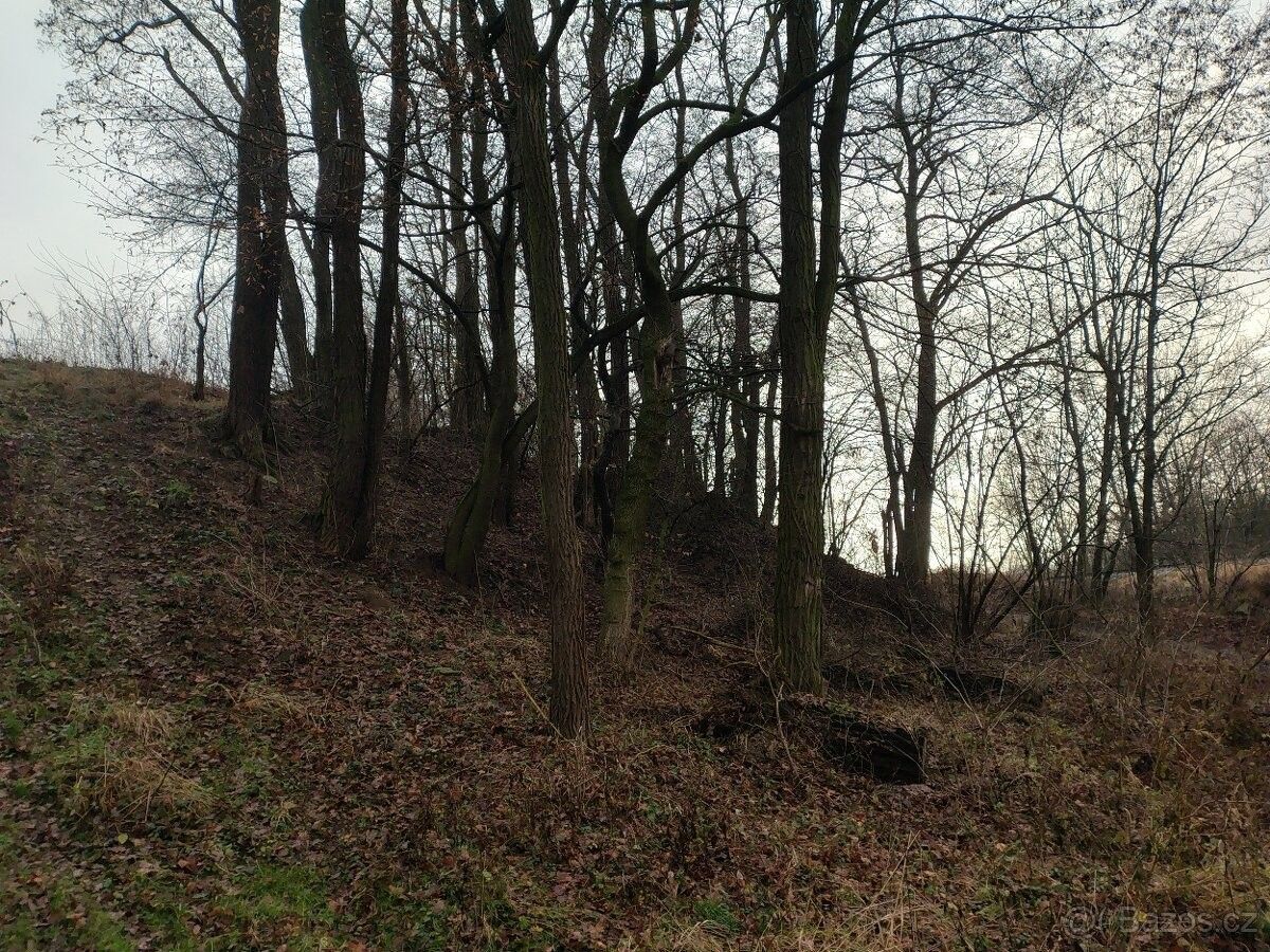 Prodej pozemek pro bydlení - Holešov, 769 01