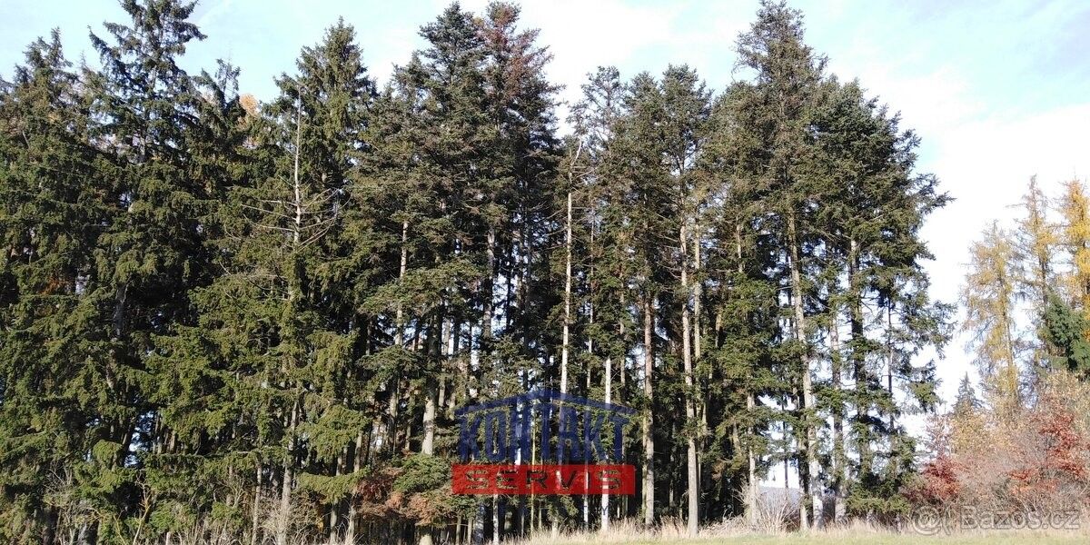 Pozemky pro bydlení, Blovice, 336 01