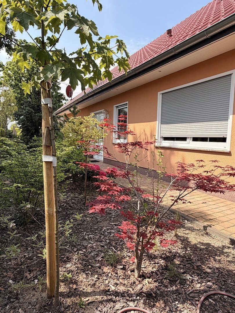 Rodinný dům · 176 m² · , Braniborsko - 4