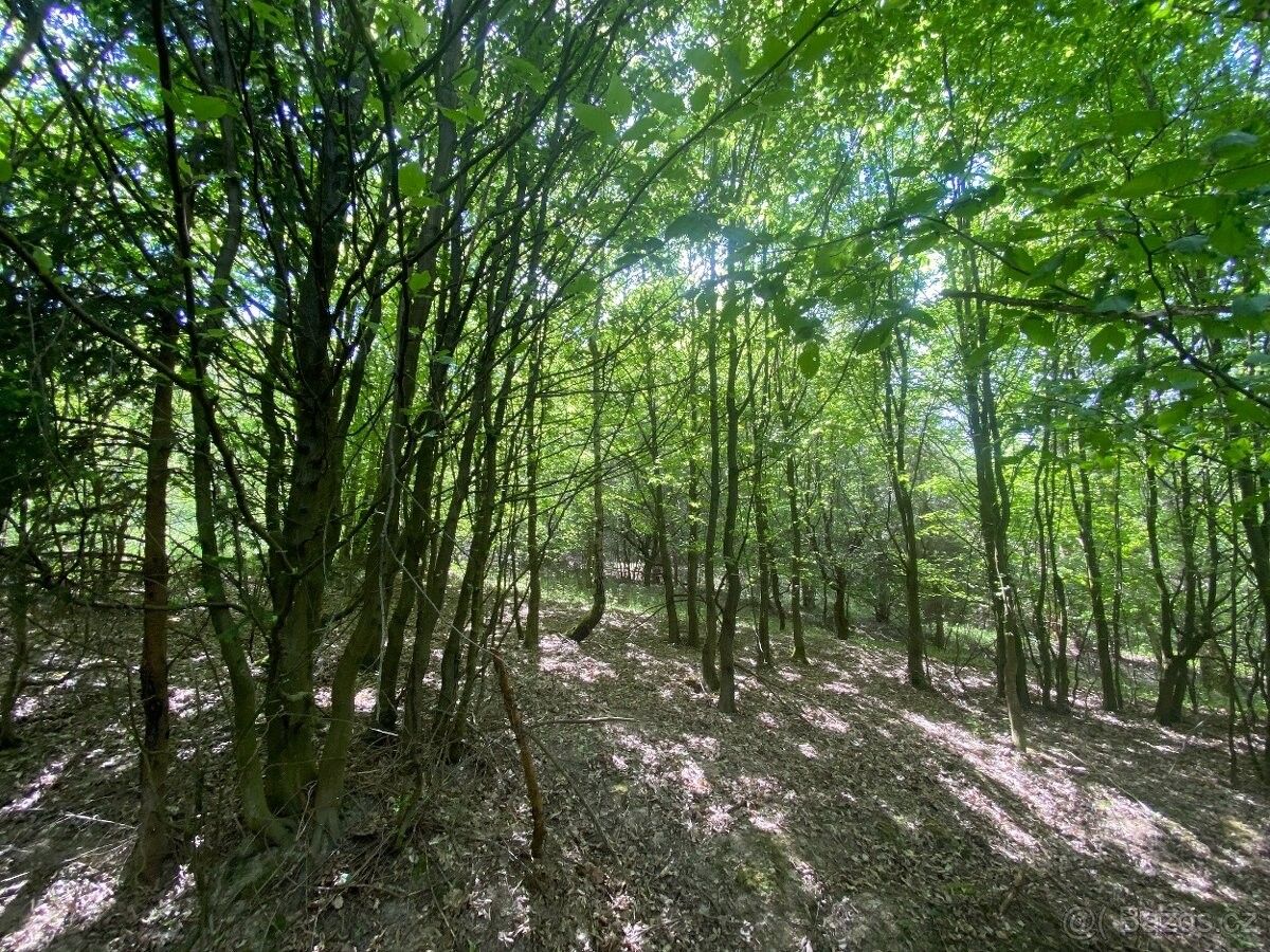 Stavební pozemek, Bohuslavice u Zlína – pohled 5