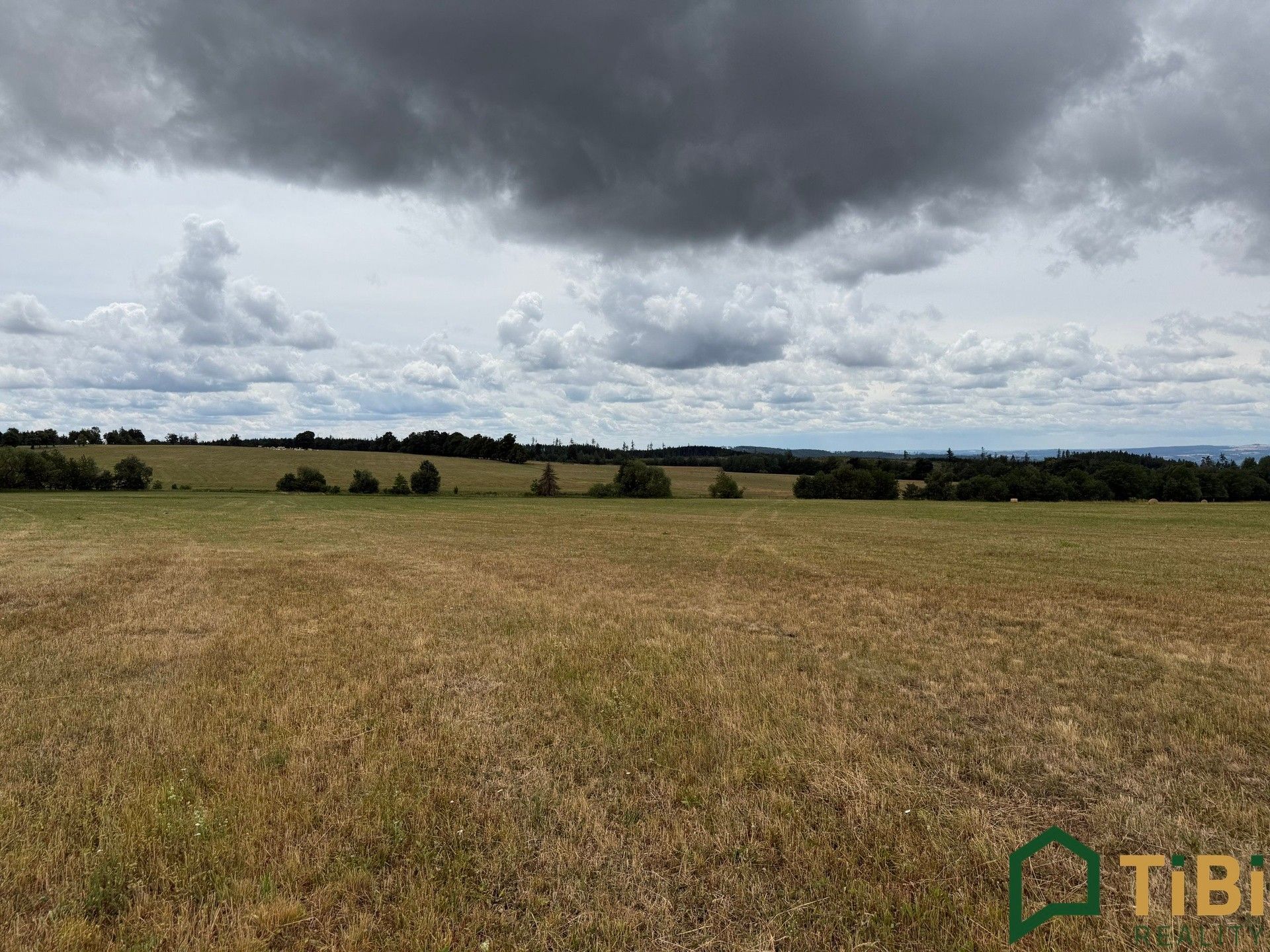 Zemědělské pozemky, Suchý, 2 000 m² - 1