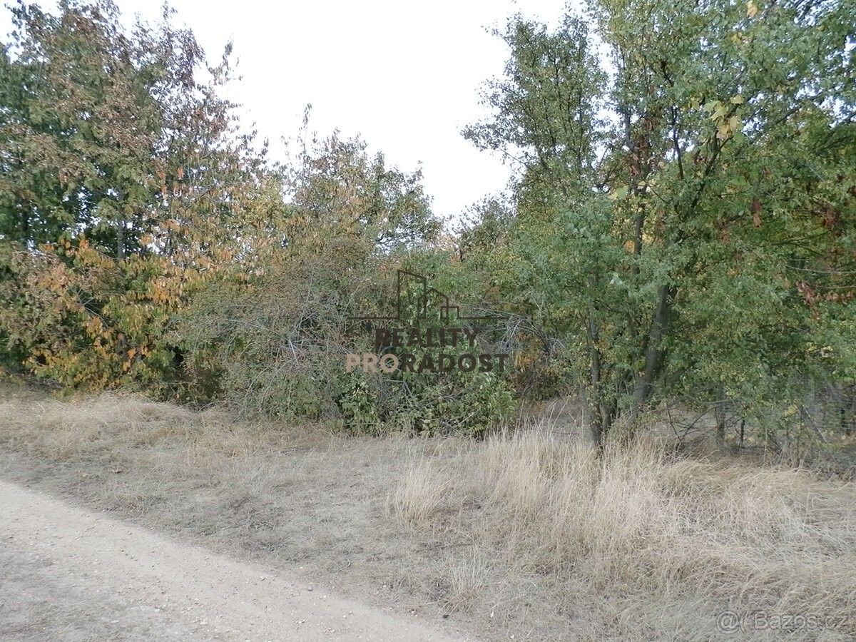 Pronájem zahrada - Znojmo, 669 02