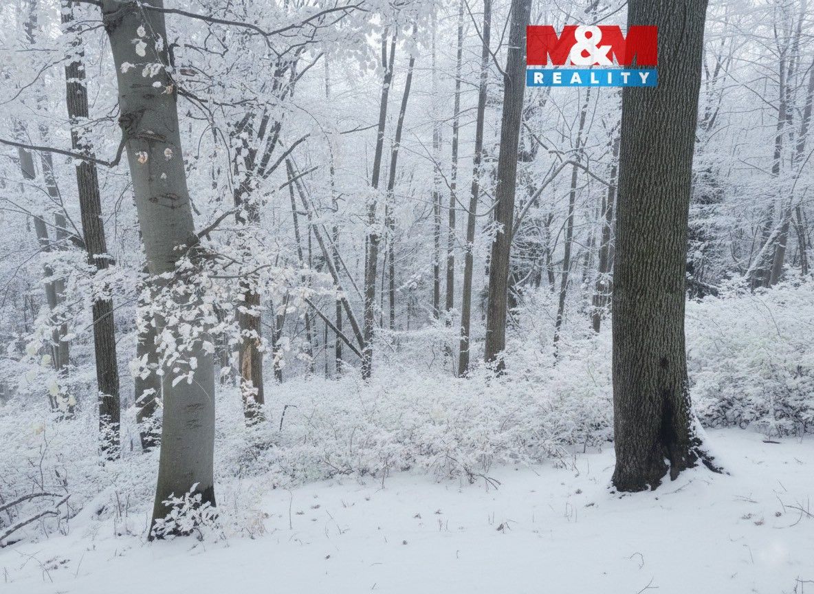 Pozemky pro bydlení, Řepníky, 538 65