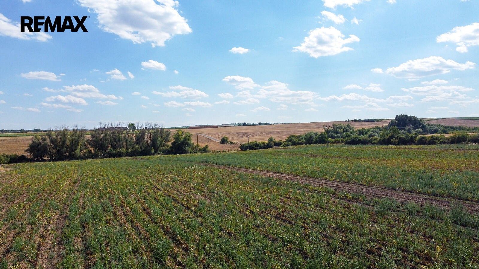 Prodej pozemek - Valtice, okres Břeclav, Jihomoravský kraj - 5