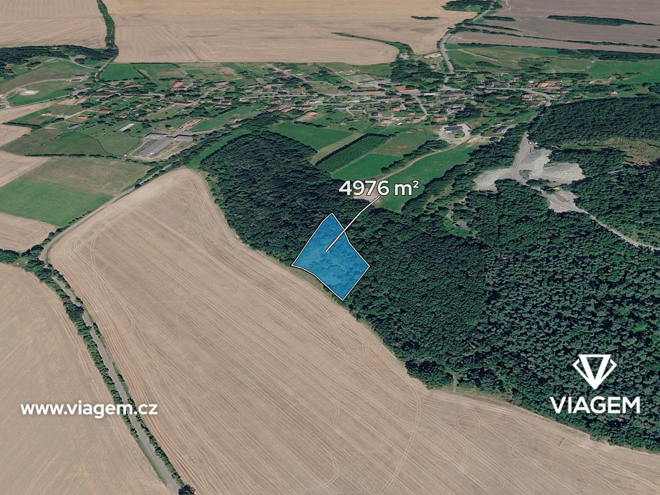 Lesy, Tachov, okres Česká Lípa, Liberecký kraj - 1