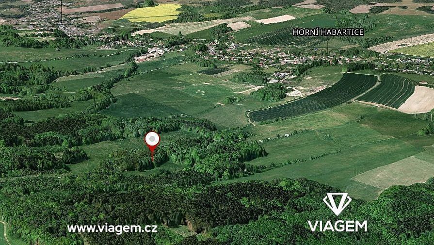 Les · Horní Habartice, okres Děčín, Ústecký kraj - 1