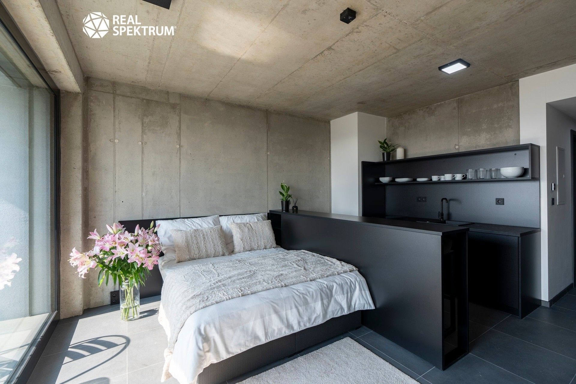 1+kk, Královopolská, Brno, 31 m² - 1