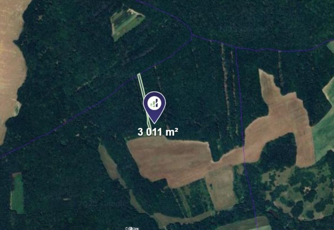 Prodej les - Hradčovice, 3 011 m²