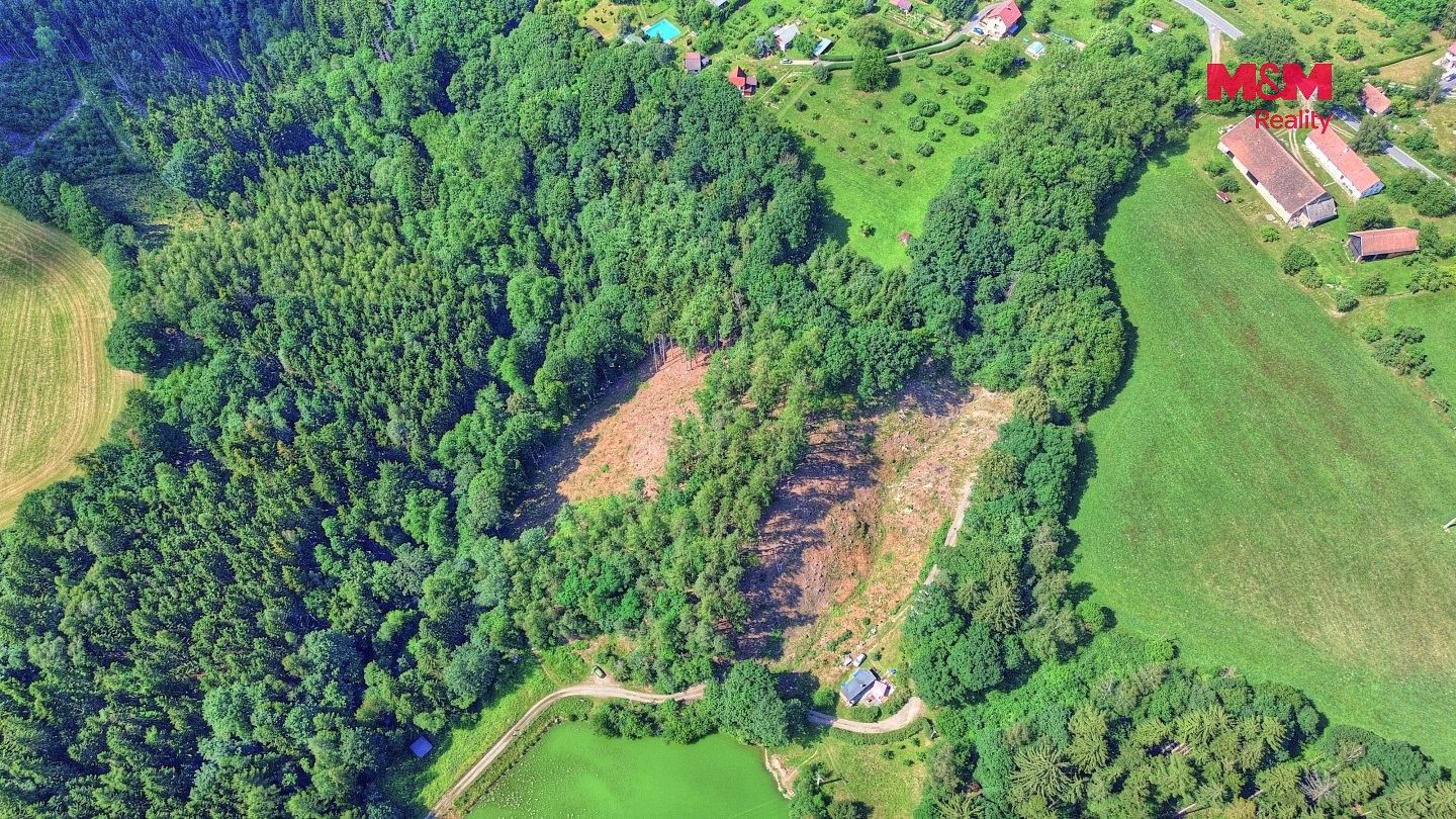 Lesy, Ohnišov - Zákraví, okres Rychnov nad Kněžnou, Královéhradecký kraj - 2