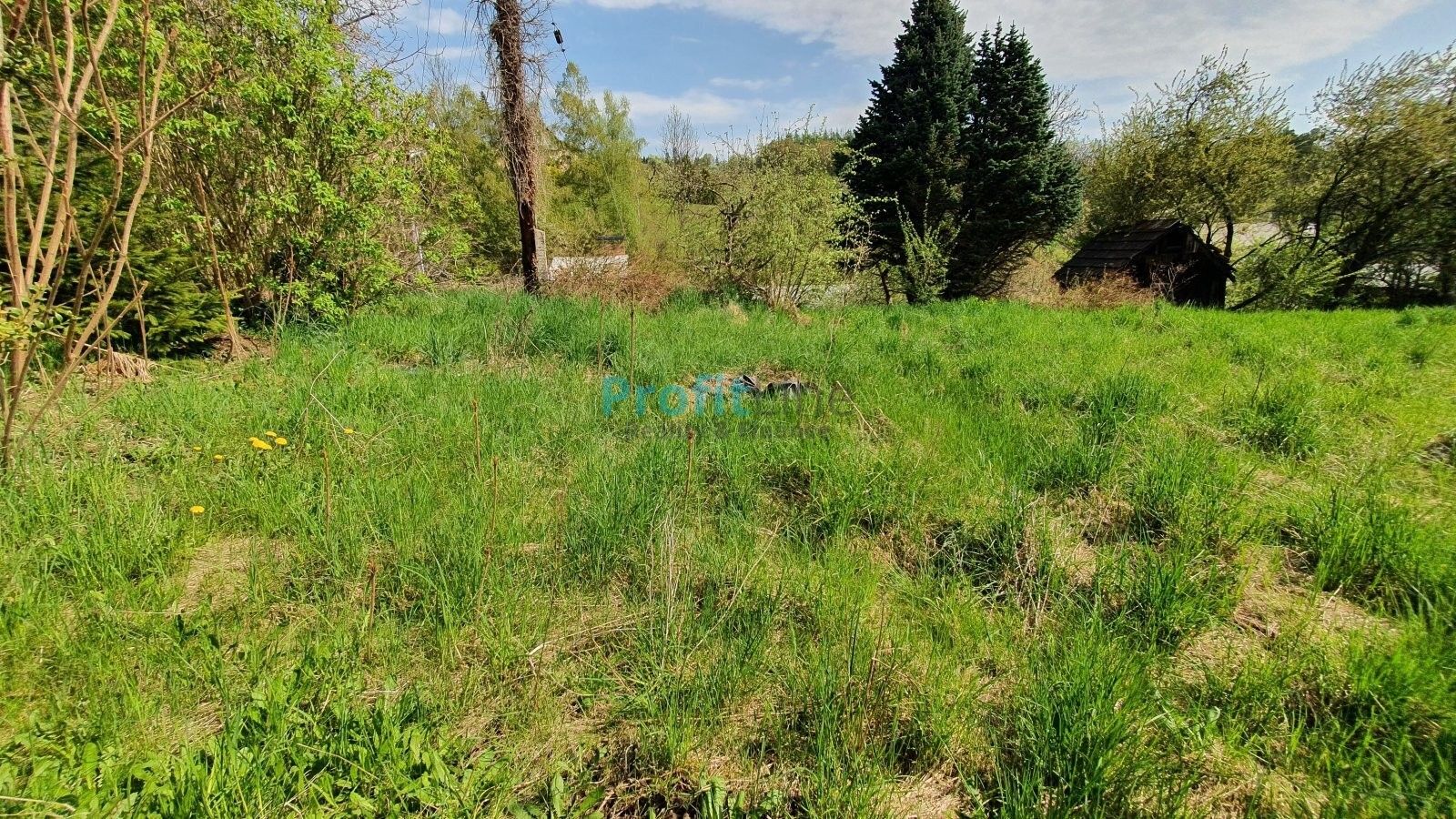 Zahrada · 1 714 m² · Kosov - 4