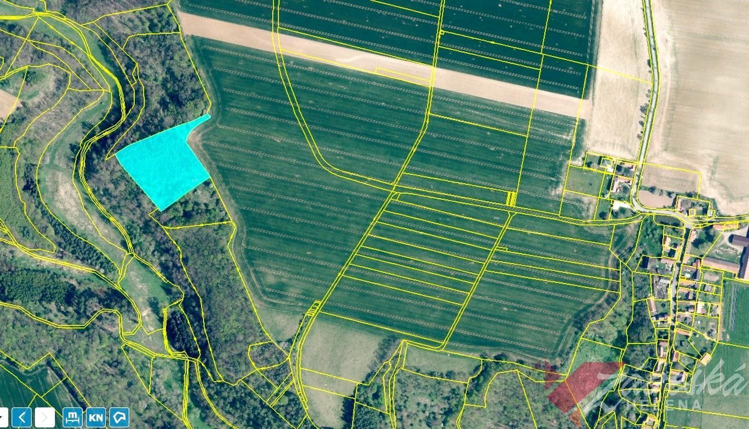 Prodej les - Chorušice