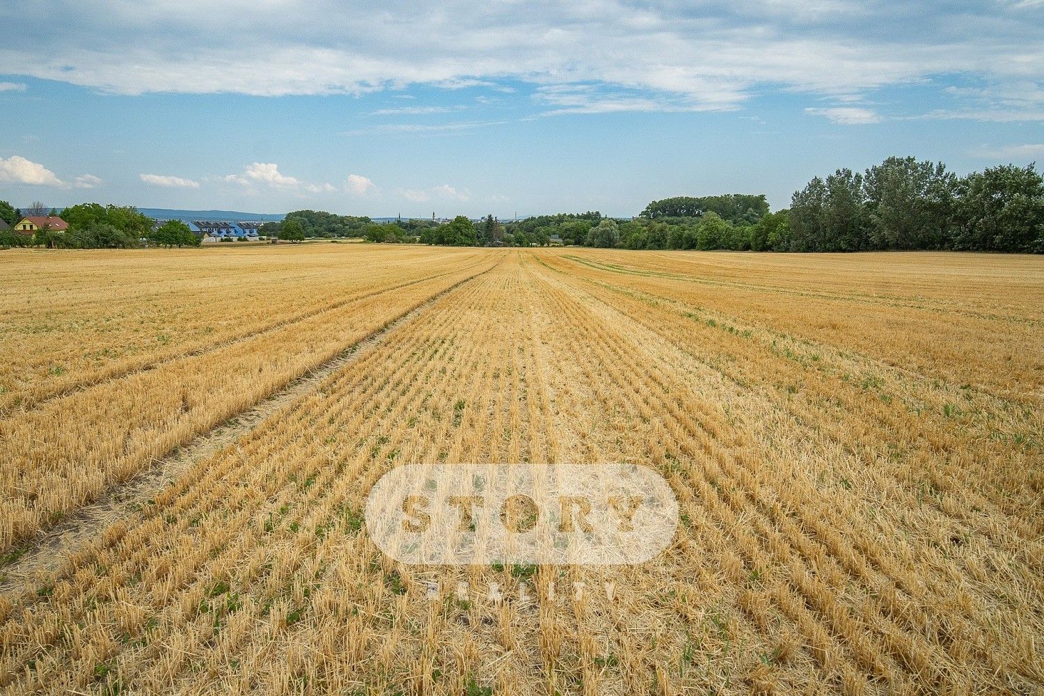 Zemědělský pozemek · Křelov-Břuchotín, okres Olomouc, Olomoucký kraj - 4