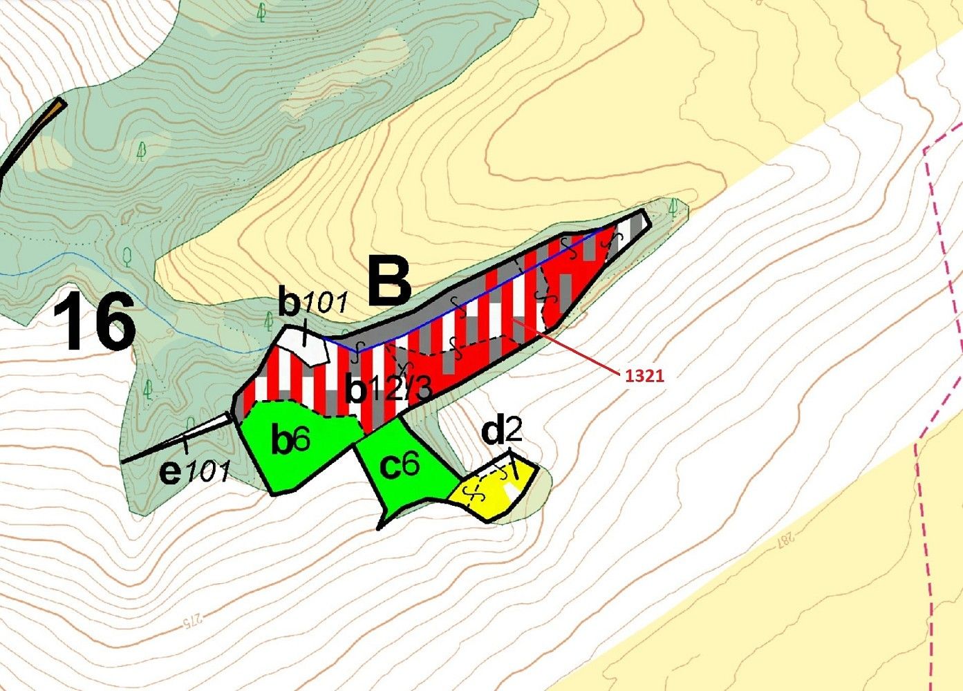 Les · Pertoltice, okres Liberec, Liberecký kraj - 3