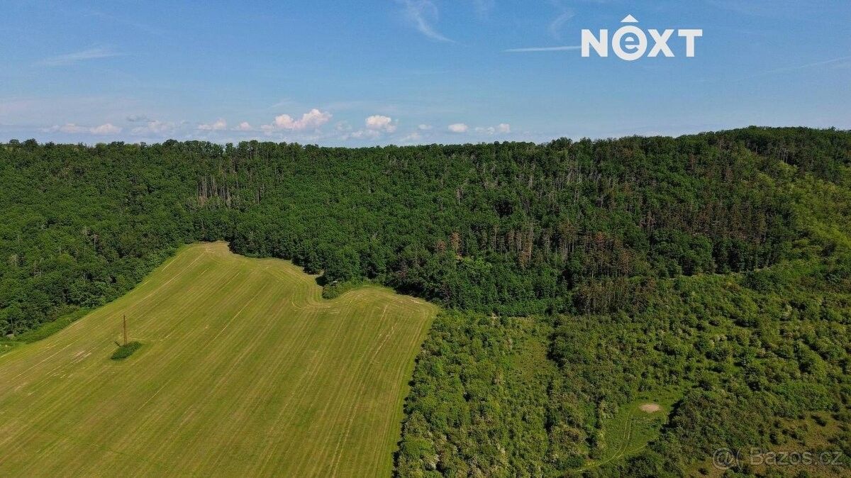 Prodej pozemek pro bydlení - Vráž u Berouna, 267 11