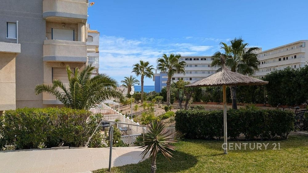 1+kk, Torrevieja, Alicante, Španělsko, 30 m² - 1