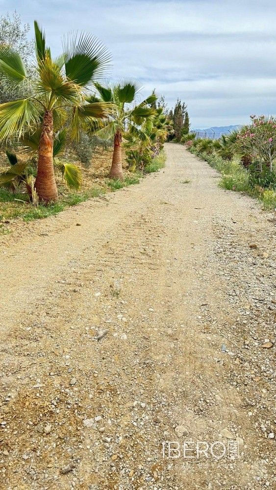 Rodinný dům · 100 m² · Marbella, ES - 3