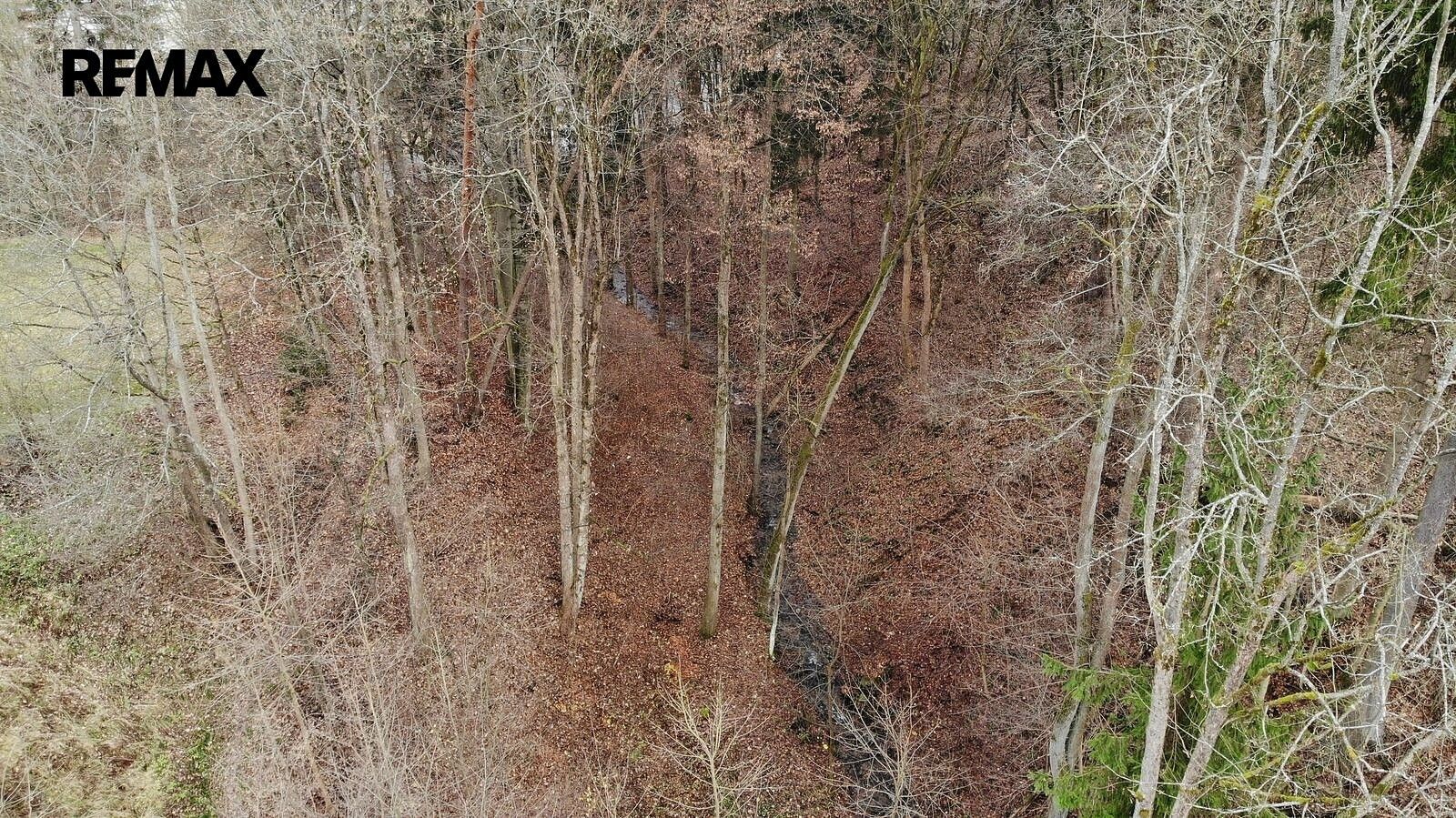 Prodej les - Železný Brod, okres Jablonec nad Nisou, Liberecký kraj - 5