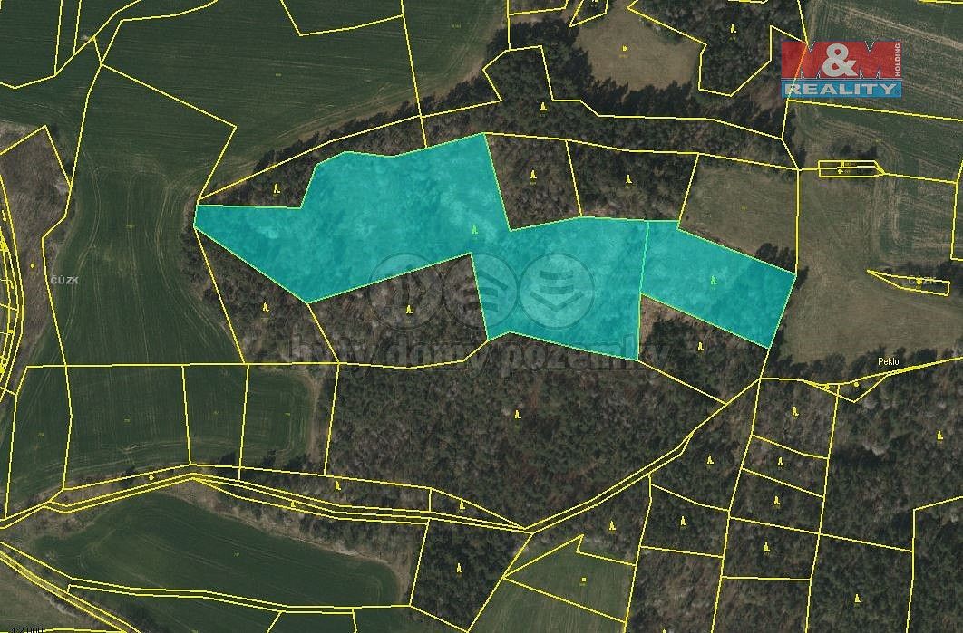 Les · Úlehle, okres Strakonice, Jihočeský kraj - 4
