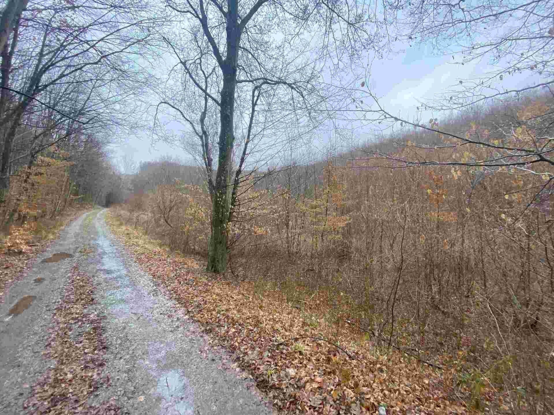 Zemědělské pozemky, Ždánice, 3 m²