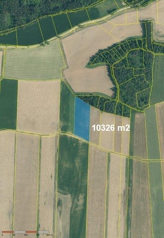 Prodej zemědělský pozemek - Strunkovice nad Blanicí