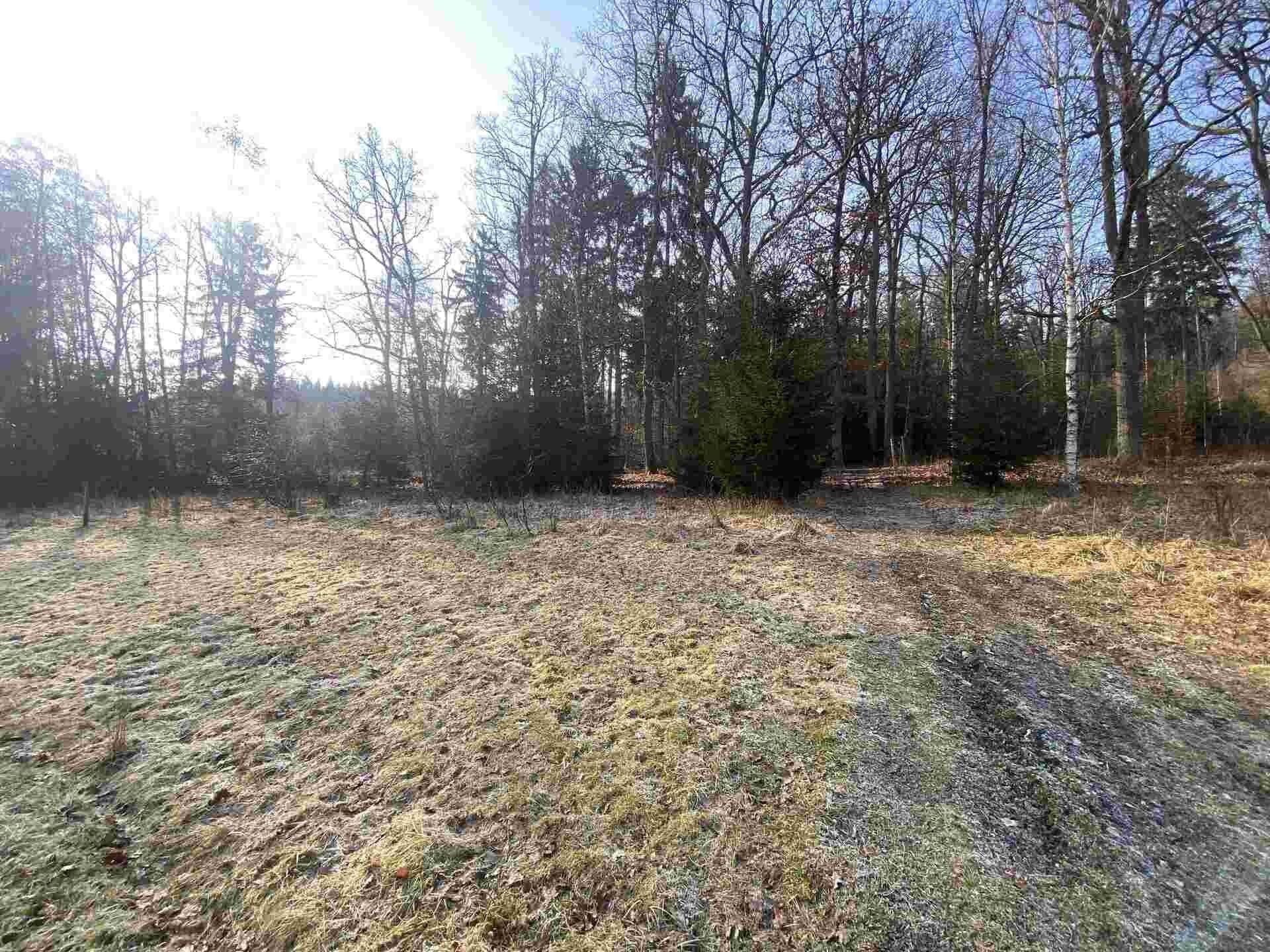 Zemědělský pozemek · 5 206 m² · Karlovice - 4