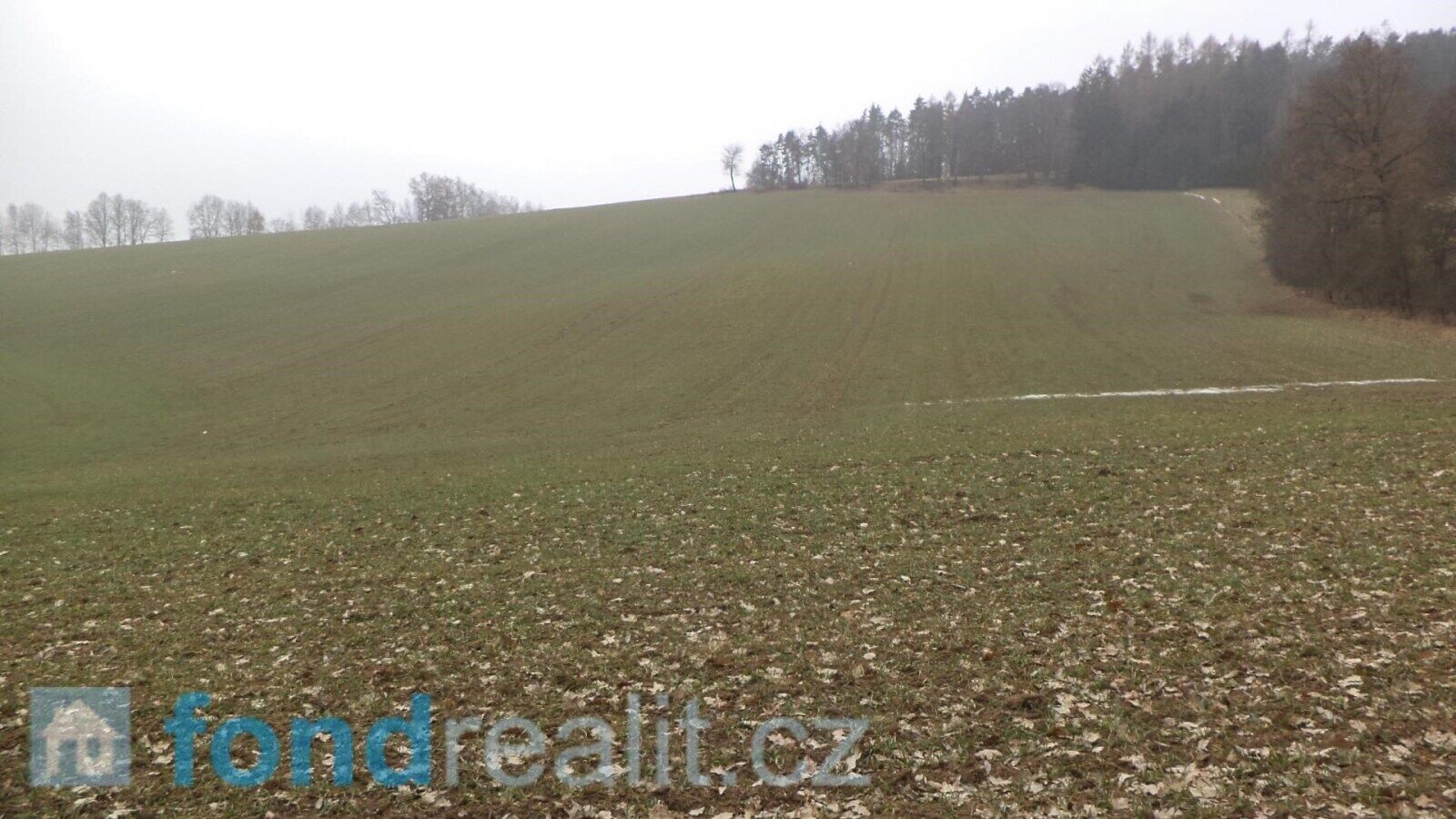 Pozemek · 1 506 m² · Zvěstov - 3