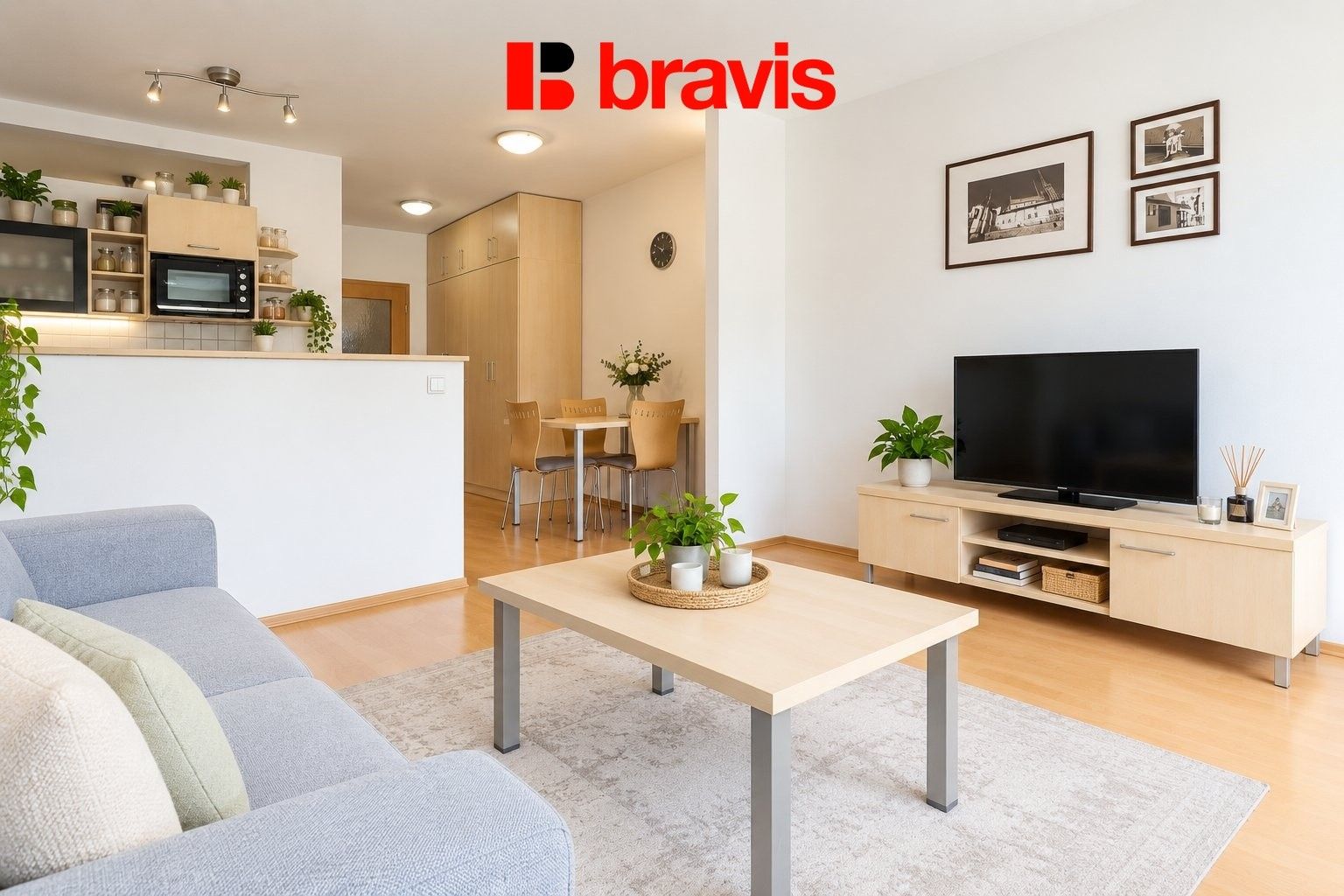 1+kk, Vodní 970, Brno Staré Brno, 59 m² - 1