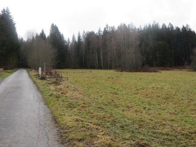Komerční nemovitost · Horní Planá Bližší Lhota - 4