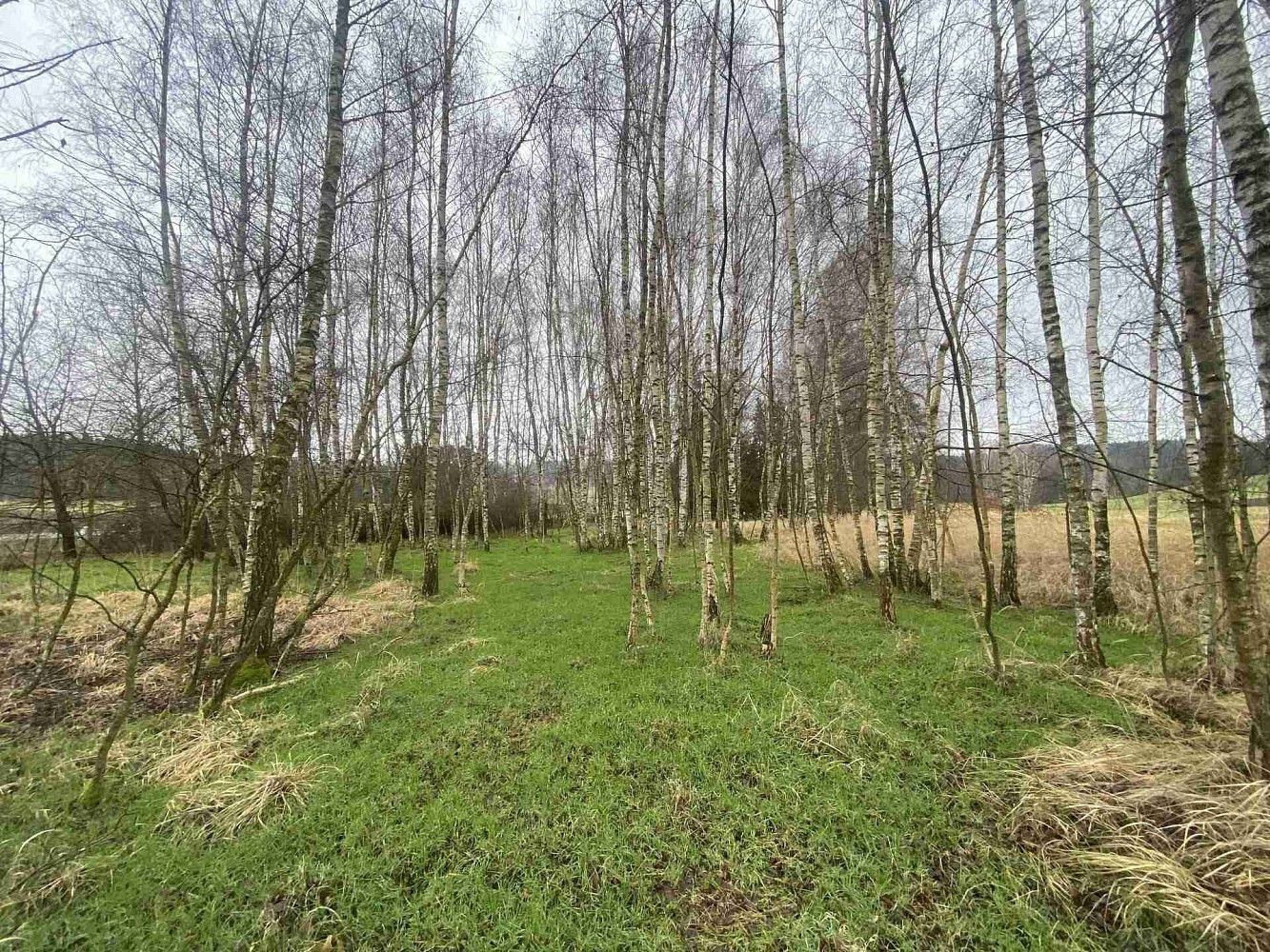 Pozemek · Hosín - Dobřejovice, okres České Budějovice, Jihočeský kraj - 3