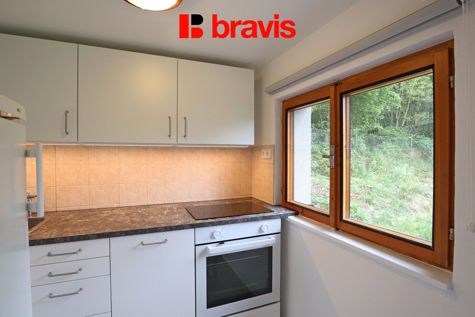 Chaty, Řícmanice, 44 m² - 2